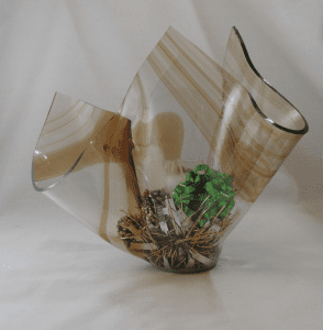 A glass vase with some green plants inside of it